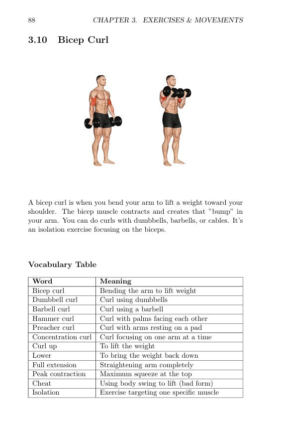 Illustration of two people performing bicep curls with a vocabulary table below.